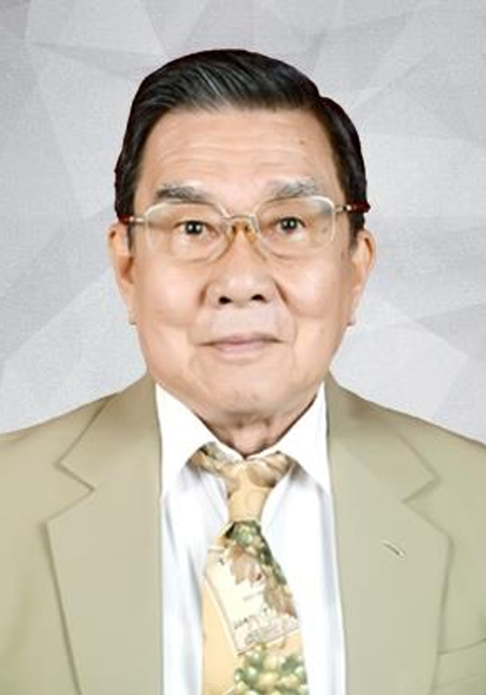 Ariesman Auly